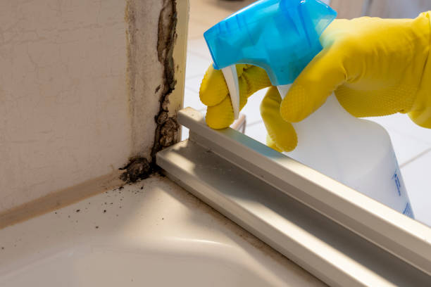 Best Biohazard Mold Removal  in Homeacre Lyndora, PA